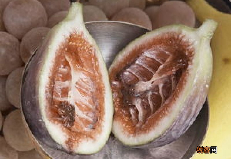 肉包骨头是什么水果