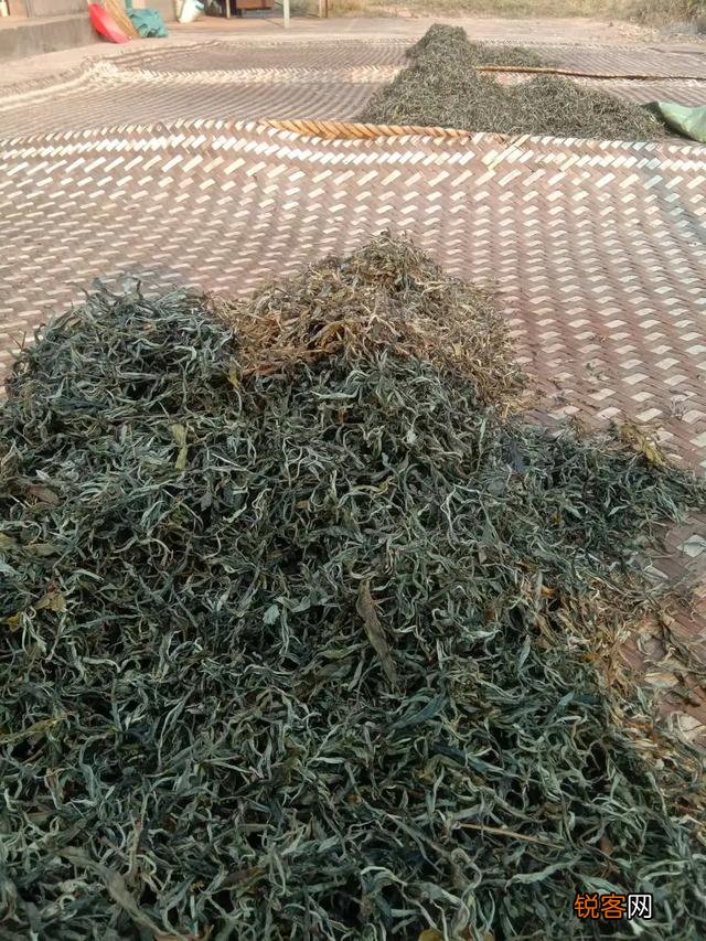 什么样的普洱茶比较好?怎么挑选普洱茶?