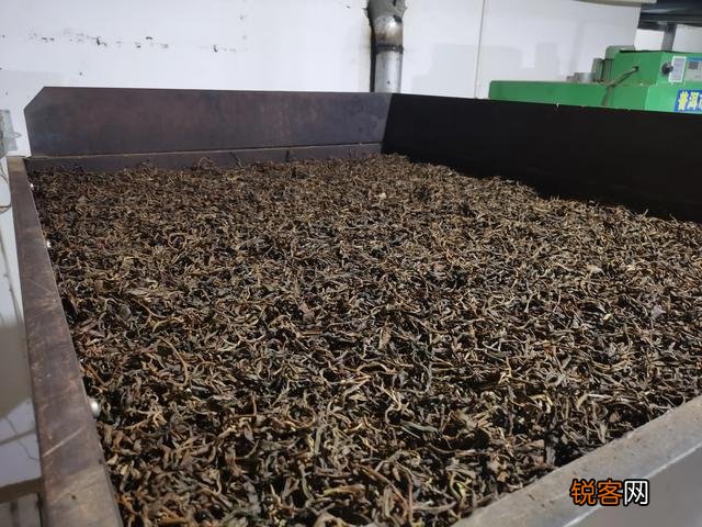 什么样的普洱茶比较好?怎么挑选普洱茶?