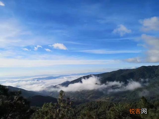 什么样的普洱茶比较好?怎么挑选普洱茶?
