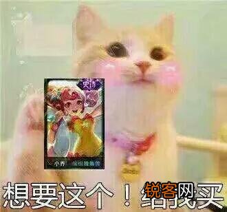 集齐王者荣耀全英雄全皮肤要多少RMB？