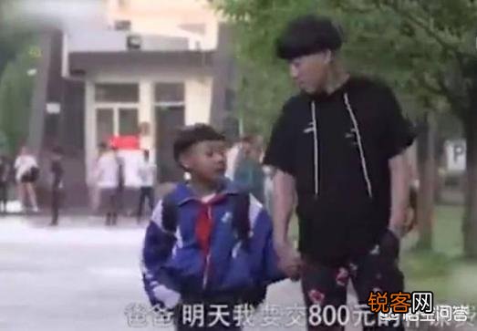 网友算出《王者荣耀》猪年14款新皮肤总价,全部购买需花费800元,你认为良心吗？
