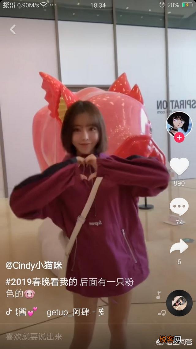 你认为2019年抖音十大高颜值女神都是谁？