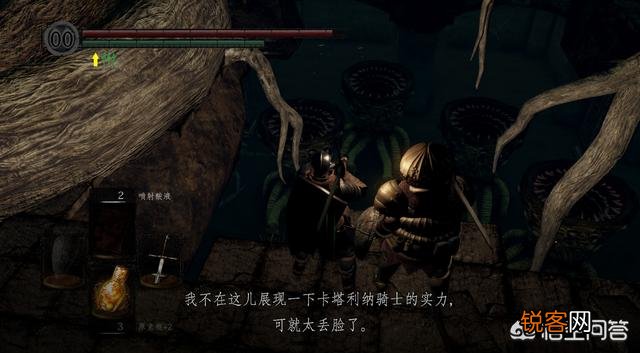 《黑暗之魂》系列中总共有多少个洋葱骑士,他们都是谁？