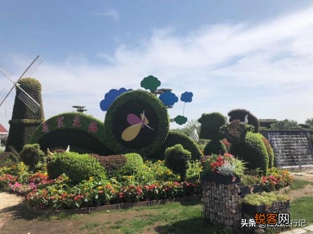 你玩头条玩了多久?