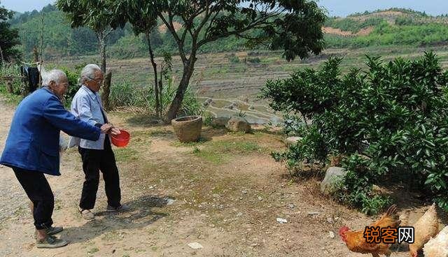 如果有钱的话你喜欢在城市还是喜欢去农村生活？