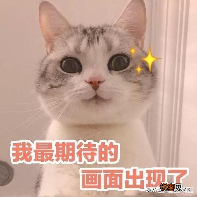 独立的博客网站如何做站内SEO优化比较好？