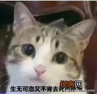 如果世界上只有《奶块》、《迷你世界》、《生存战争》这三个沙盒游戏,你会选择哪一个?为什么?