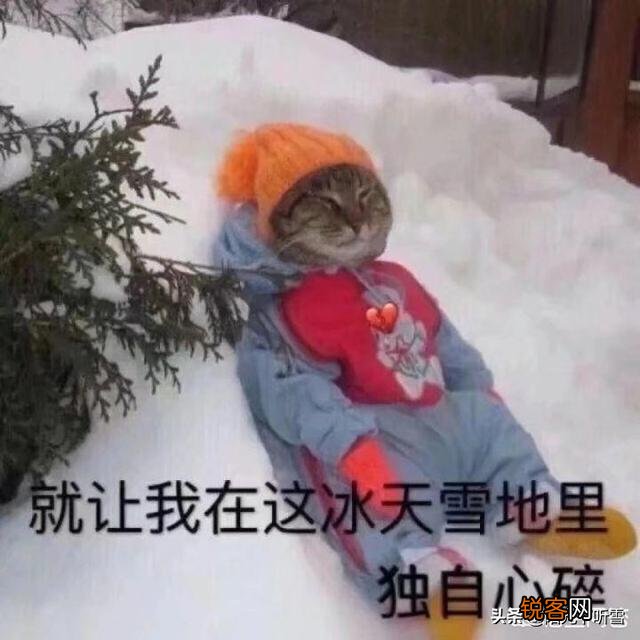 如果世界上只有《奶块》、《迷你世界》、《生存战争》这三个沙盒游戏,你会选择哪一个?为什么?