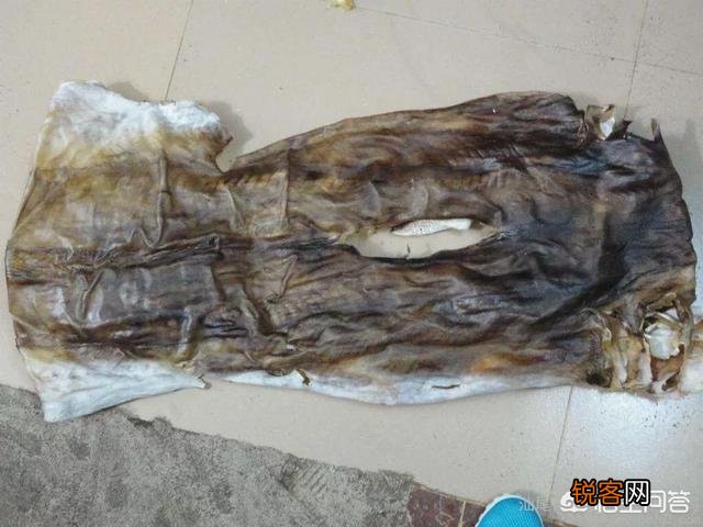鲨鱼表面有层沙,烹饪前怎样除去那层沙?