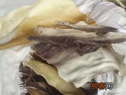 鲨鱼表面有层沙,烹饪前怎样除去那层沙?