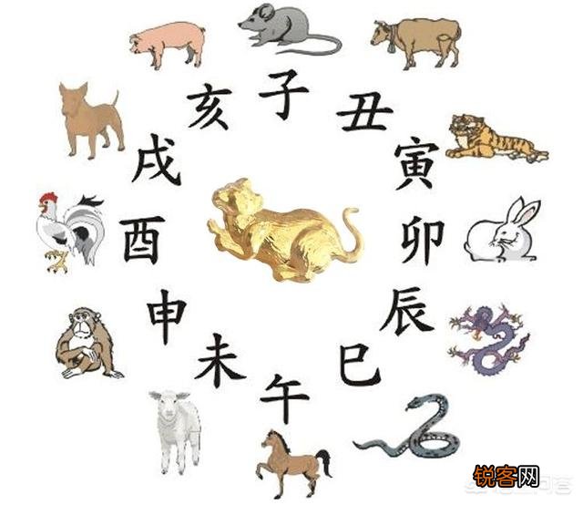婚配时说属相不合的人,结婚后如何了？