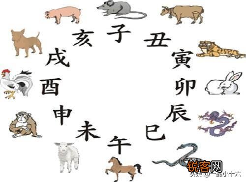婚配时说属相不合的人,结婚后如何了？