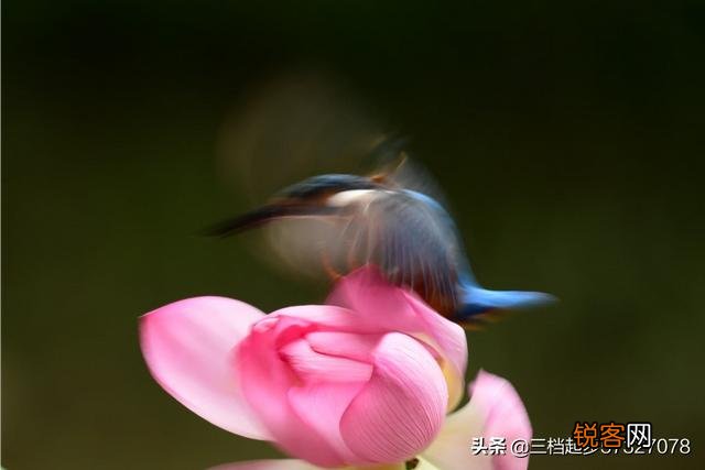 相机用慢门能拍什么作品？