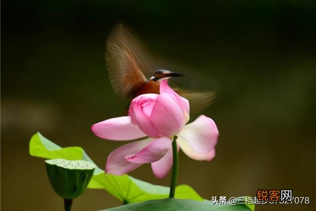 相机用慢门能拍什么作品？