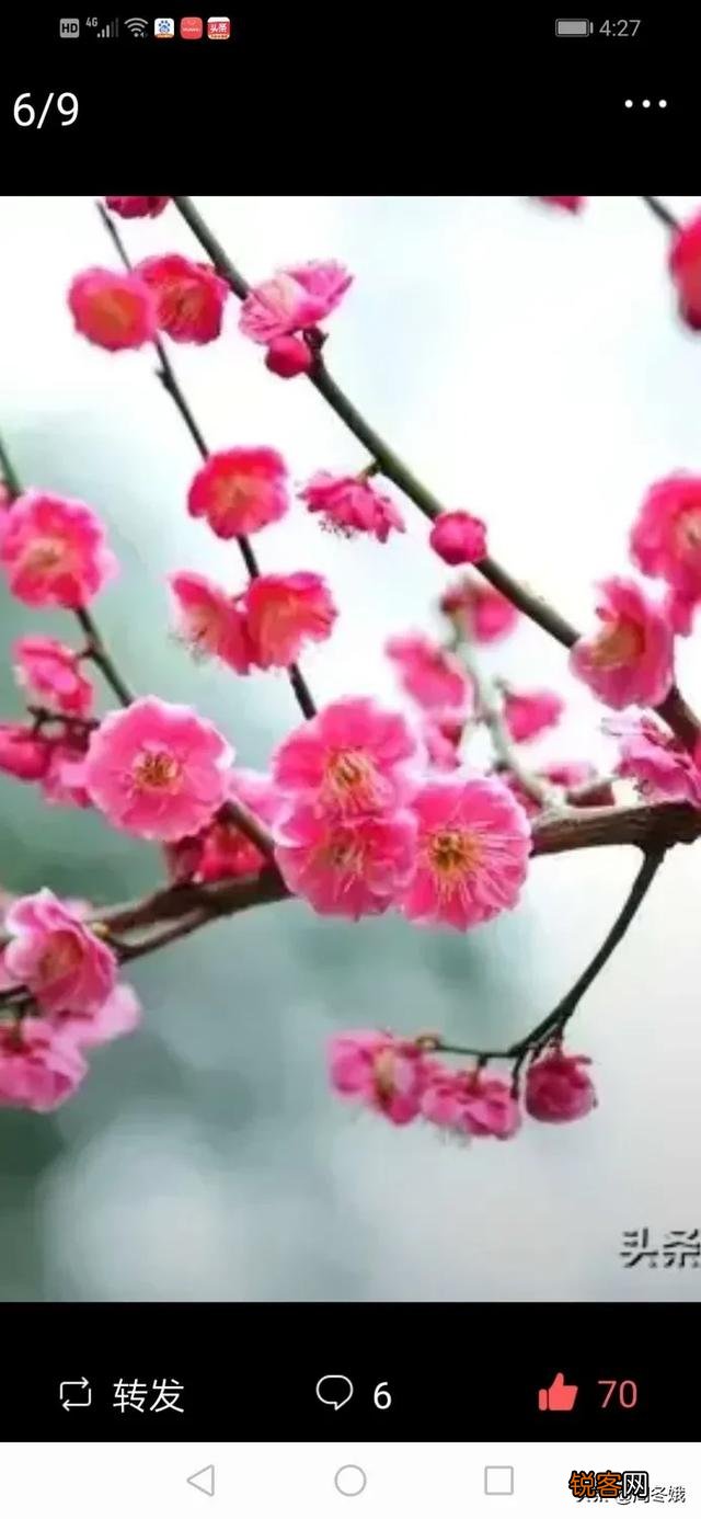 朋友们,有没有好听的经典歌曲推荐一下？