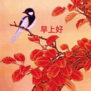 曾让你单曲循环的经典老歌你还记得吗？