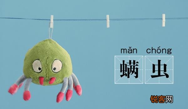 螨虫最怕什么东西 让螨虫断子绝孙