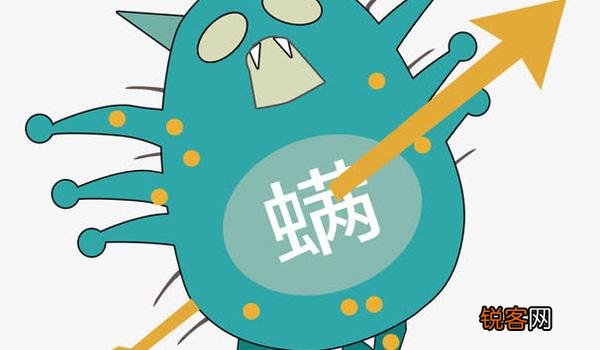 螨虫最怕什么东西 让螨虫断子绝孙