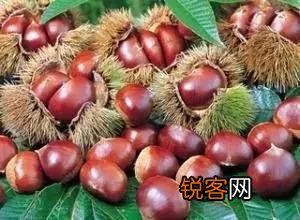 常见水果的成熟时间 多吃应季水果 对身体有好处