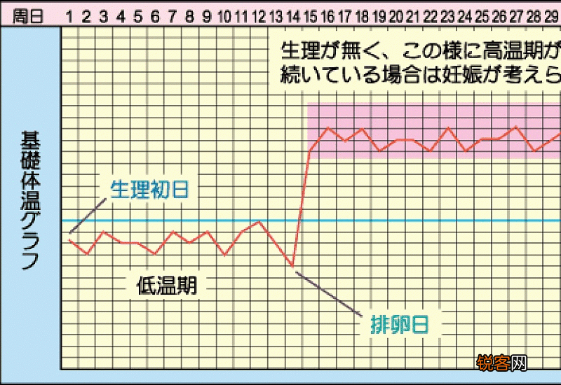 排卵期怎么算有几天