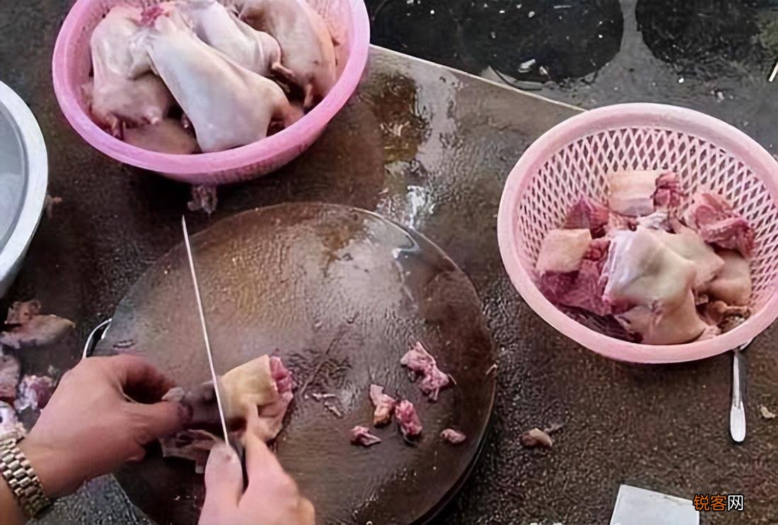哪几种人不能吃鸽子 常吃鸽子肉有哪些好处