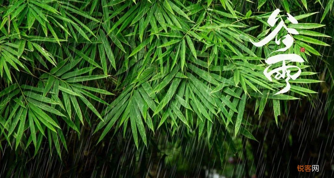 最美谷雨诗词 描写谷雨的唯美句子