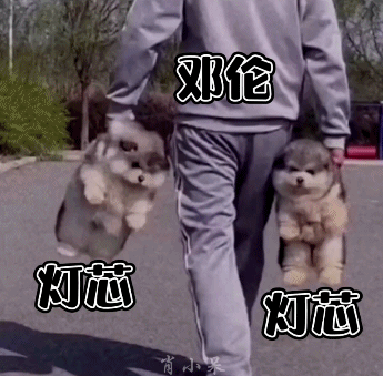 你心目中的实力演技派演员是谁？