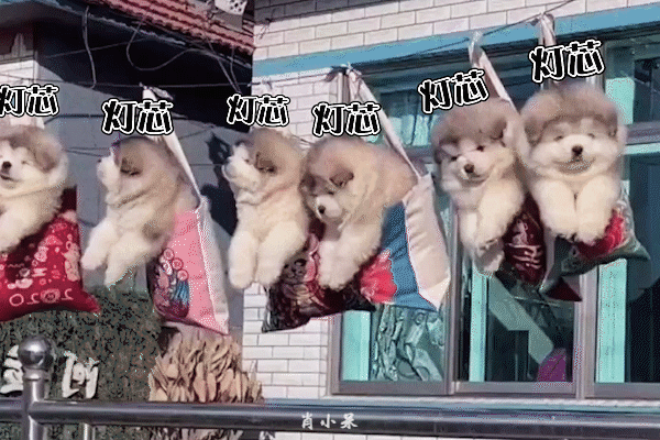 你心目中的实力演技派演员是谁？