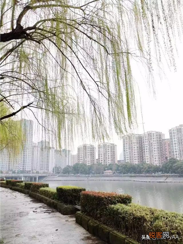 您认为拍摄什么题材的作品最容易表达春天？