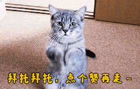 LOL玩家改ID嘲讽全服,却被系统“教做人”,网友：已笑出8块腹肌,你有何看法？