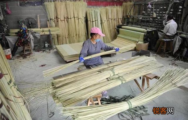 在农村办个什么厂能用闲置人员做工？