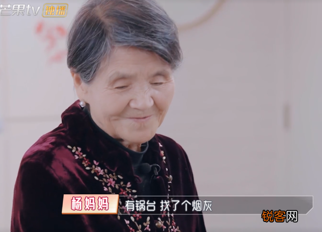 黄圣依婆婆是做什么的 杨子家族的发家史