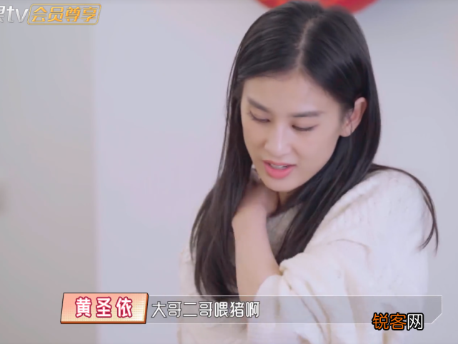 黄圣依婆婆是做什么的 杨子家族的发家史