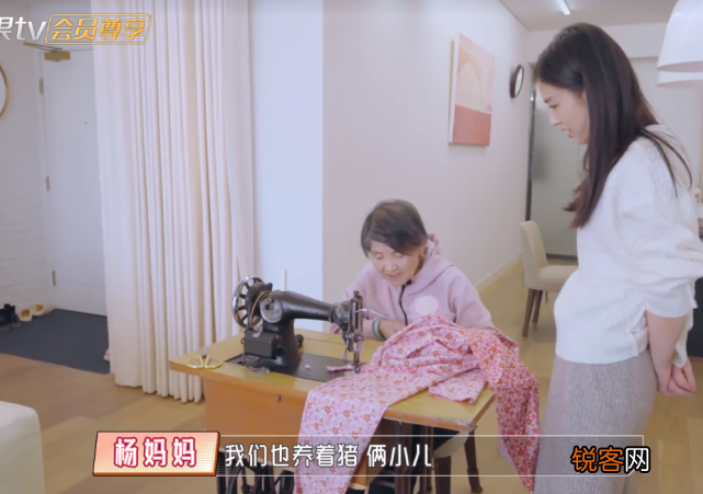 黄圣依婆婆是做什么的 杨子家族的发家史