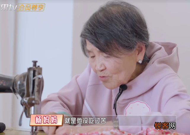 黄圣依婆婆是做什么的 杨子家族的发家史