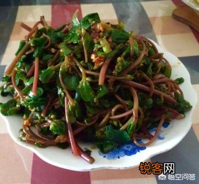 农村地里的野菜都能吃吗？吃了有什么好处啊？