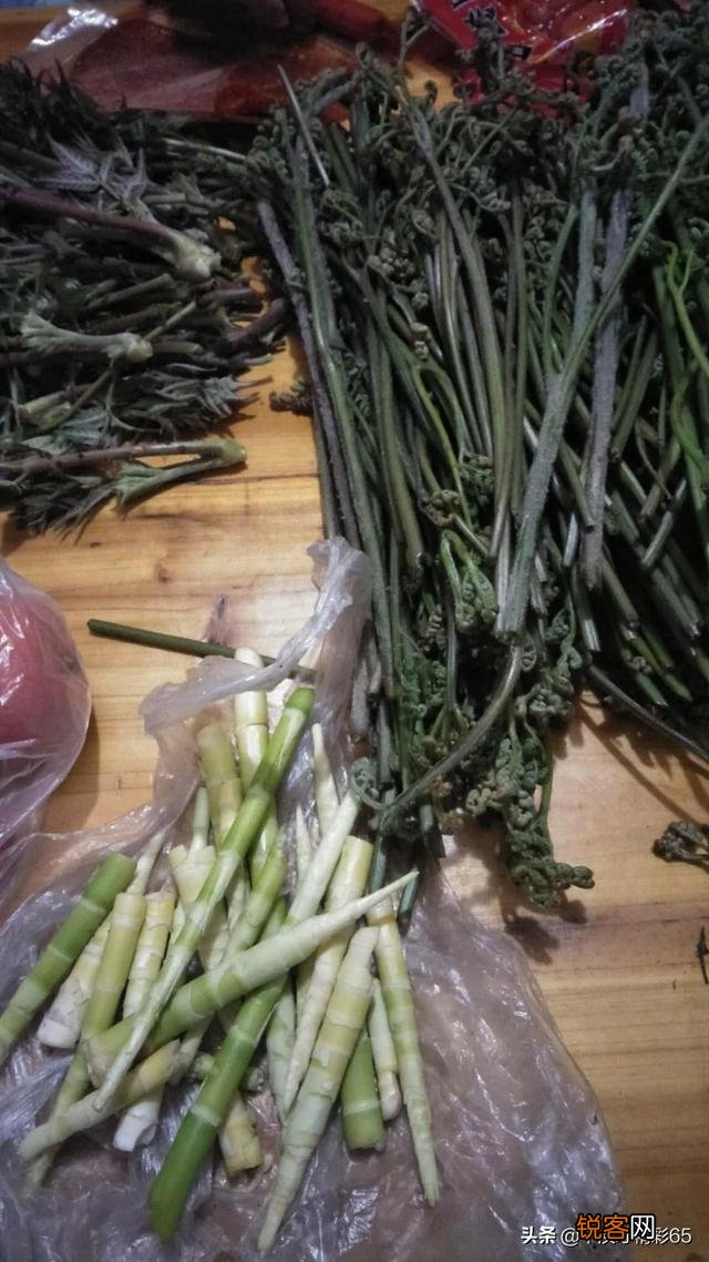 春暖花开,这些野菜你吃过几个？