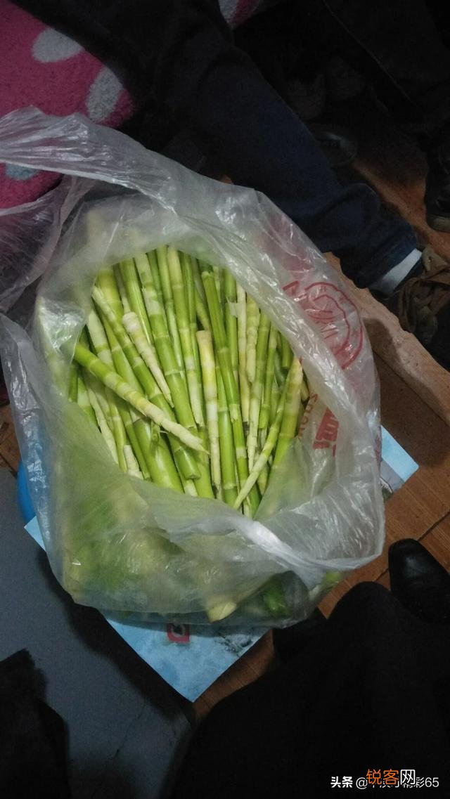 春暖花开,这些野菜你吃过几个？