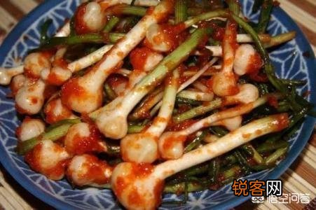 3、4月正是野菜成熟的季节,能吃的野菜有多少？