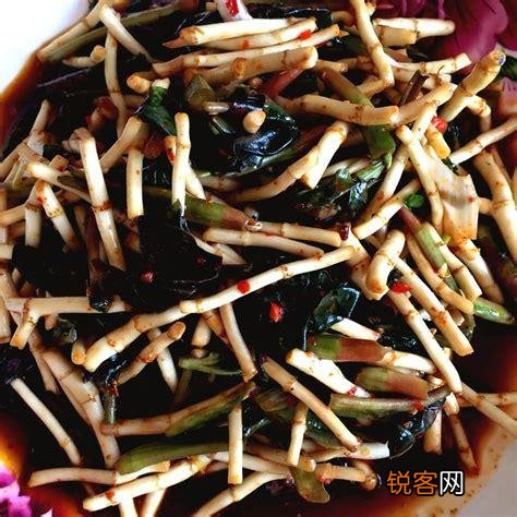 南方有什么好吃的野菜吗？