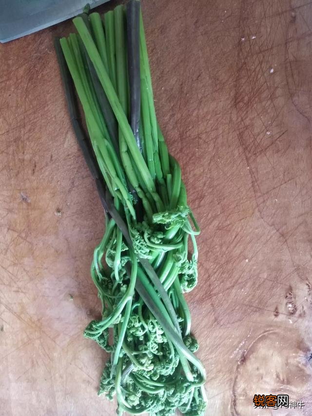 三四月份在你们老家都有什么爱吃的野菜？附上照片和名字最好？