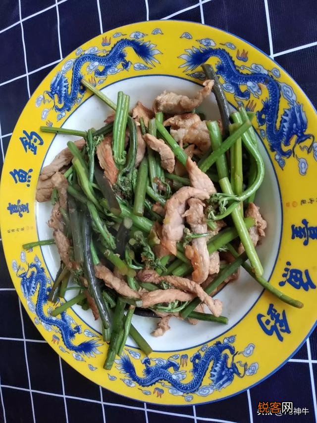 三四月份在你们老家都有什么爱吃的野菜？附上照片和名字最好？