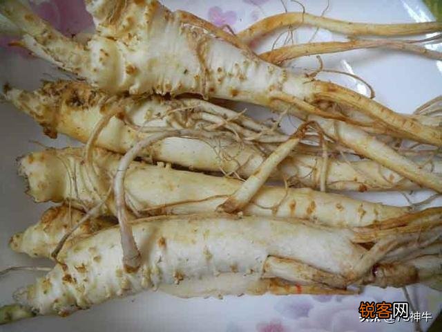 三四月份在你们老家都有什么爱吃的野菜？附上照片和名字最好？
