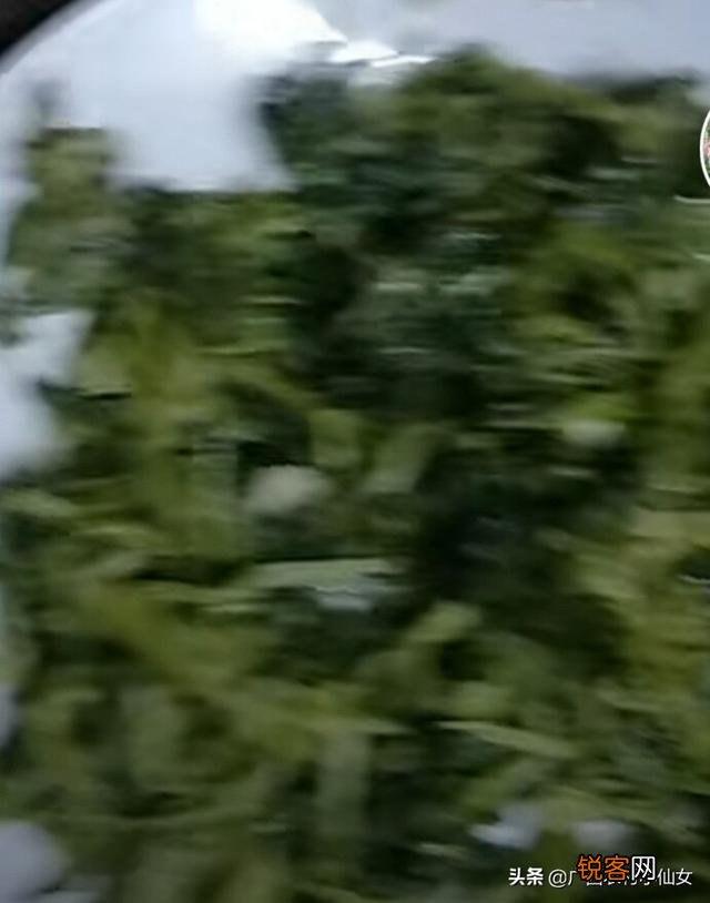 农村什么野菜吃了好？