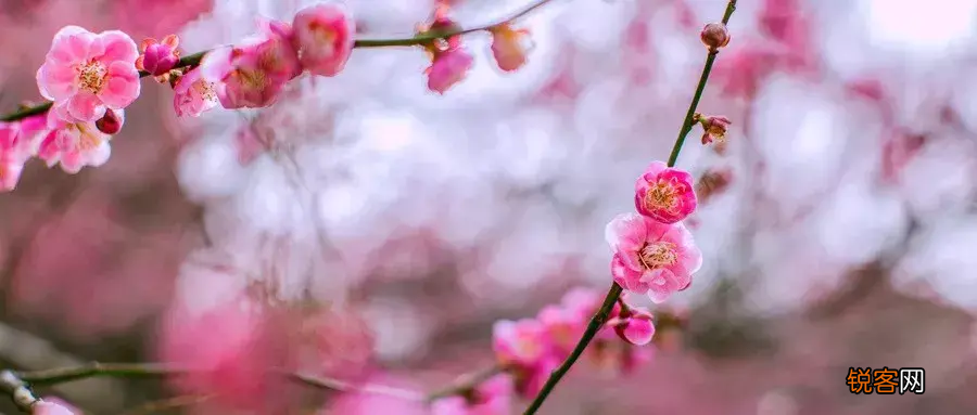 经典伤感古语75语赶紧收藏