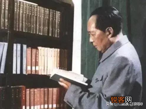 什么样的教育才能称为素质教育？
