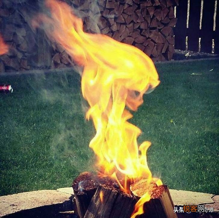 被抓拍到的不可思议的18个爆笑瞬间 帮您扫光疲惫和沮丧