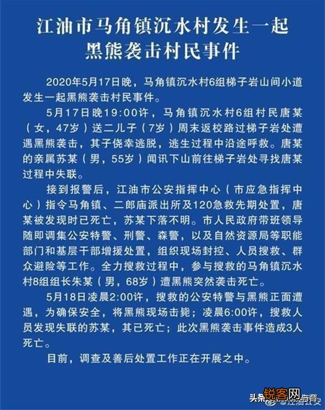 惨！母亲送儿读书遇熊咬死,搜救2人死亡,遇熊该如何自救？