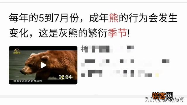 惨！母亲送儿读书遇熊咬死,搜救2人死亡,遇熊该如何自救？